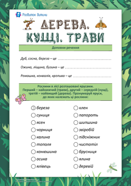 Розрізняємо дерева, кущі, трави