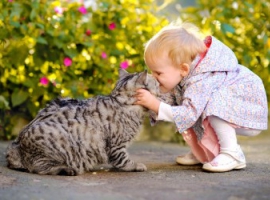 Здорові домашні тварини – здорові діти