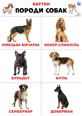 Породи собак – картки Домана