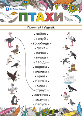 Прочитай і з'єднай слова та малюнки на тему «Птахи» 