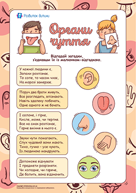 Загадки про органи чуття Загадки про органи чуття