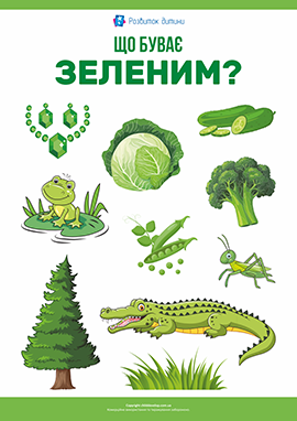 Зелений колір: вивчаємо кольори