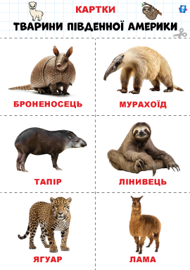 Дикі тварини Південної Америки – картки Домана