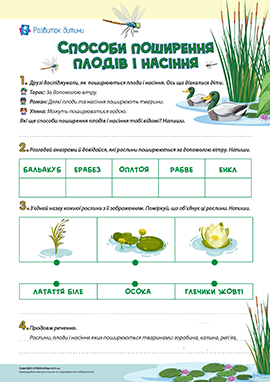 Досліджуємо способи поширення плодів і насіння 