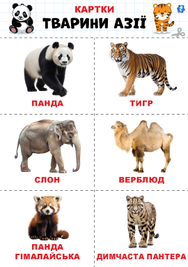 Дикі тварини Азії – картки Домана