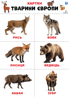 Дикі тварини Європи – картки Домана
