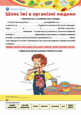 Травна система: вивчаємо організм людини Травна система: вивчаємо організм людини