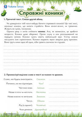 Списуємо текст та аналізуємо іменник як частину мови 