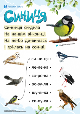 Птахи: читання по складах для дошкільнят
