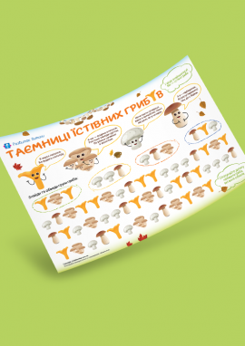 Їстівні гриби: гра-шукалка для розвитку уваги
