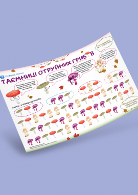 Отруйні гриби: гра-шукалка для розвитку уваги