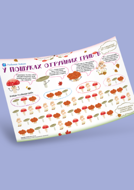 Отруйні гриби: гра-шукалка для розвитку уваги