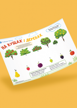 Ознайомлення з плодовими кущами та деревами