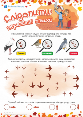 Сліди перелітних птахів: вивчаємо напрямок руху