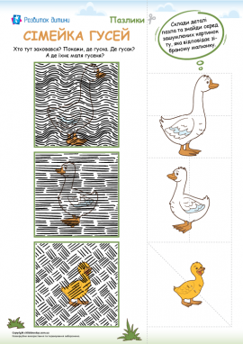 Гусяча родина: зашумлені пазли для найменших