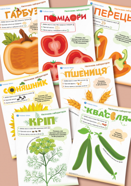 Набір аплікацій із насінням рослин