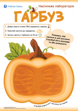 Аплікація із насінням гарбуза