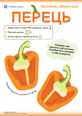 Аплікація із насінням перцю