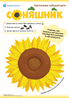 Аплікація із насінням соняшника