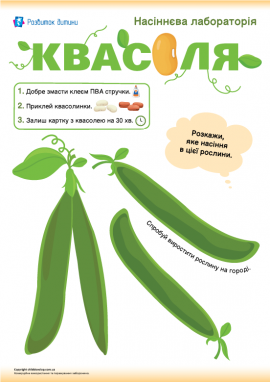 Аплікація із насінням квасолі
