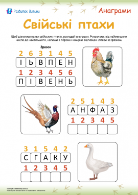 Свійські птахи: анаграми для дітей від 6 років