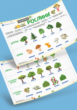 Рослини: дидактична гра для розвитку пам’яті