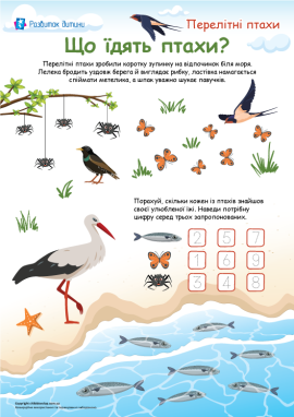 Ознайомлення дітей з харчовим ланцюжком перелітних птахів з елементами лічби
