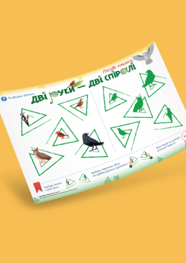 Лісові птахи: шукаємо їхні тіні та виконуємо нейрозавдання