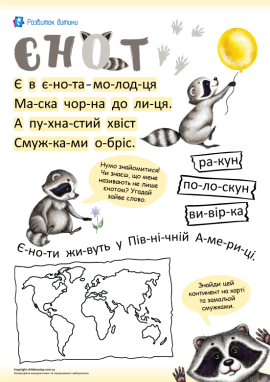 Єнот: читання по складах для дошкільнят