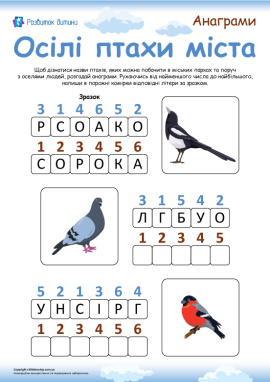 Осілі птахи в містах: анаграми для дітей від 6 років