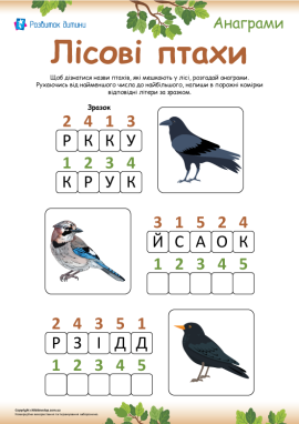 Птахи лісу: анаграми для дітей від 6 років