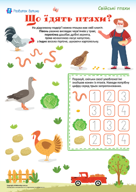 Харчування свійських птахів: ознайомлення з елементами лічби