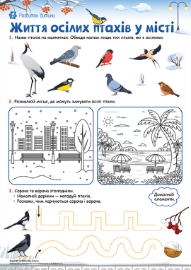 Ознайомлення з осілими птахами міста