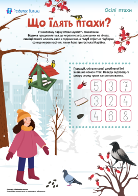 Що їдять осілі птахи? Дізнаємося та рахуємо до 10