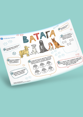 Кількісна та порядкова лічба в межах 5: математика для дошкільнят