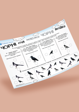 Вивчаємо прикмети птахів родини воронових: розвиваємо в дошкільнят ерудицію, увагу, уміння рахувати до 5-ти