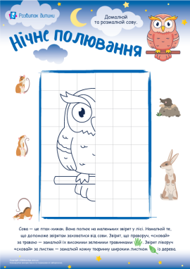 Сова: графомоторика та орієнтація в просторі