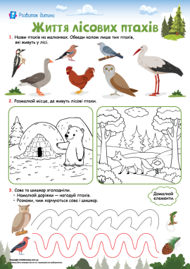 Ознайомлення з лісовими птахами