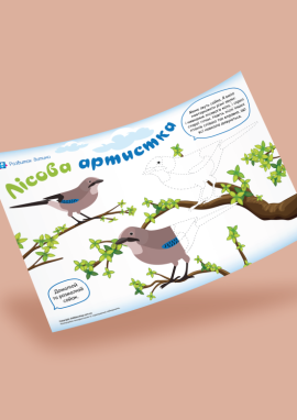 Лісовий птах сойка: домальовування та розмальовування