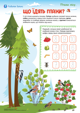 Знайомимося із харчуванням лісових птахів та рахуємо до 10
