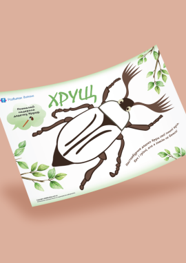 Хрущ: розмальовка фарбами