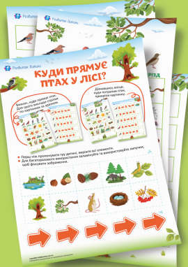 Лісові птахи: дидактична гра для орієнтації на площині