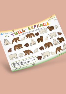 Нейроведмеді: нейровправа для розвитку когнітивної гнучкості та самоконтролю