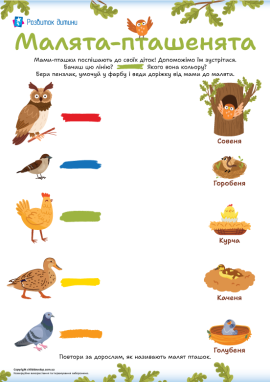 Ознайомлення з дитинчатами пташок та малювання фарбами для найменших