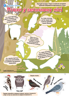 Птахи лісу: весняна аплікація для дітей старшого дошкільного віку
