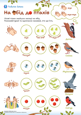 Що їдять лісові птахи: нейрозавдання