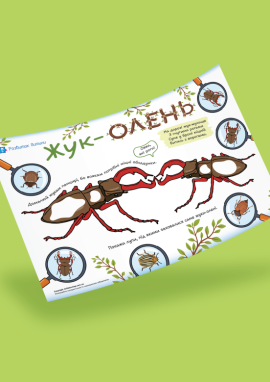 Жук-олень: графомоторні навички та зоровий аналіз для дітей від 2 років