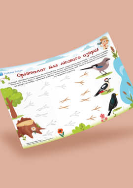 Упізнаємо лісових птахів та малюємо їхні сліди