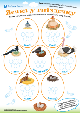 Пташині яйця: рахуємо у межах 5-ти та вивчаємо їхні особливості