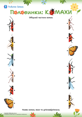 Комахи: дидактичне завдання для зіставлення фрагментів об'єкта